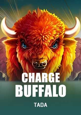 664bet